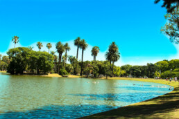 Bosques de Palermo - Buenos Aires - Argentina