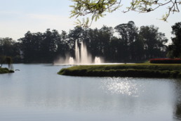 Parque do Ibirapuera