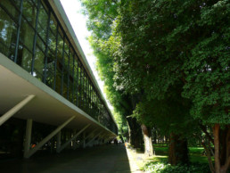 Fundação Bienal de São Paulo