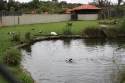 Zoologico de Curitiba