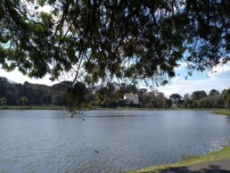 Parque Bacacheri