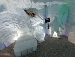 Ice Bar Mundo Gelado