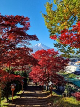 Pagoda Chureito