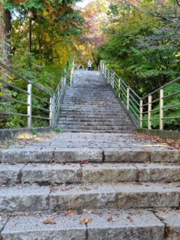 Pagoda Chureito