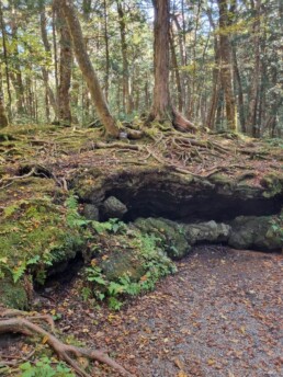 Caverna do Vento Fugaku