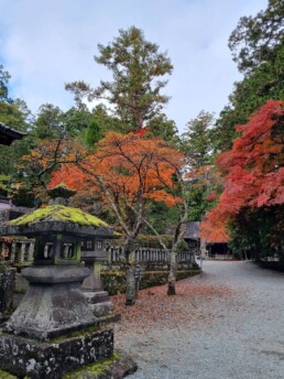 Kitaguchi Hongu Fuji