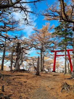 Fuji-Subaru Line 5th Station