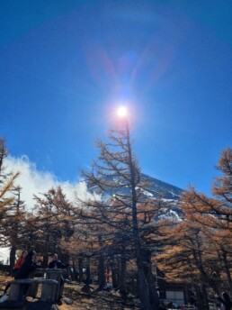 Fuji-Subaru Line 5th Station