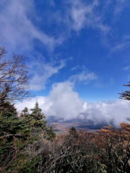 Fuji-Subaru Line 5th Station