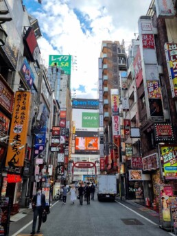 Shinjuku - Godzilla Head