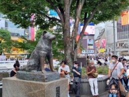 Shibuya - Scramble Crossing