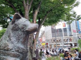 Shibuya - Scramble Crossing