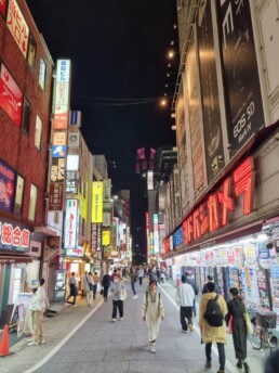 Shinjuku - Godzilla Head