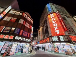 Shinjuku - Godzilla Head