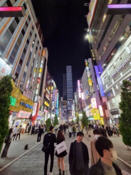 Shinjuku - Godzilla Head