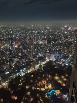 Tokyo City Hall