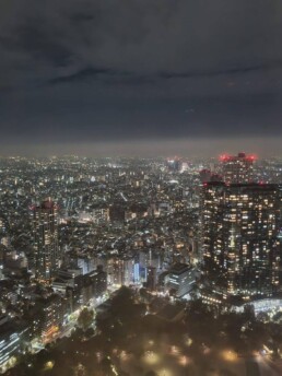 Tokyo City Hall