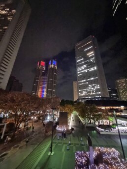 Tokyo City Hall