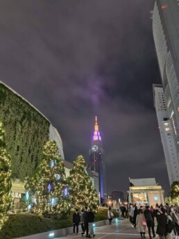 Tokyo City Hall