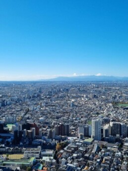 Tokyo City Hall