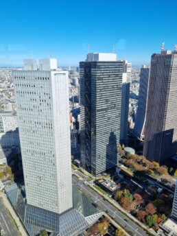 Tokyo City Hall