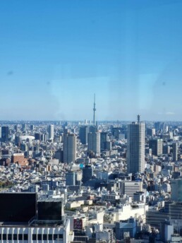 Tokyo City Hall