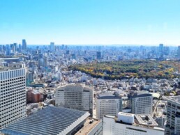 Tokyo City Hall