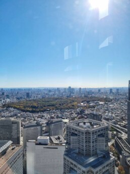 Tokyo City Hall