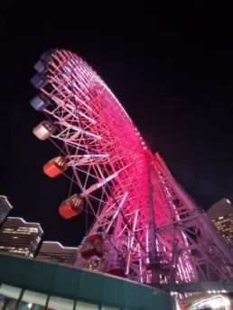 Nippon Maru Memorial Park