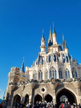 Tokyo Disneyland