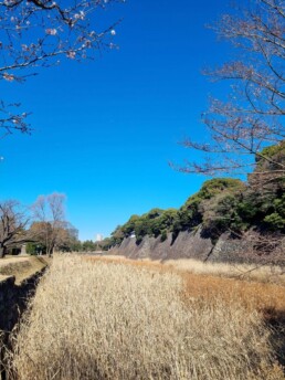 Palácio Imperial do Japão