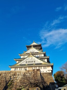 Castelo de Osaka