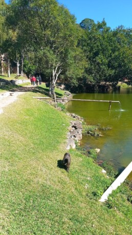 Parque Macaquinhos Turismo