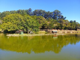 Parque Macaquinhos Turismo