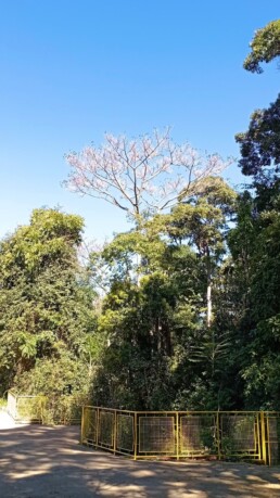 Parque Represa Dr. Jovino Silveira