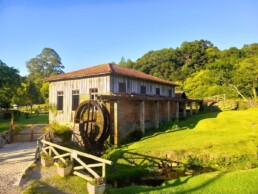 Caminhos de Pedra