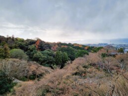 Kiyomizu-dera