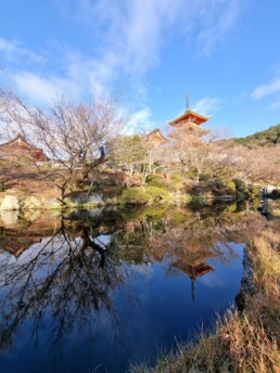 Kiyomizu-dera