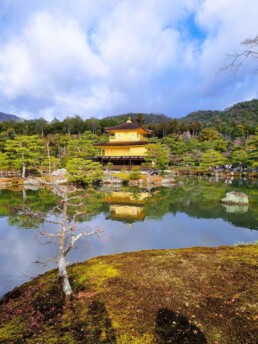 Templo do Pavilhão Dourado - Kinkaku-Ji