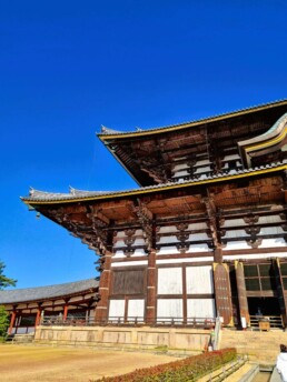 Templo - Tōdai-ji