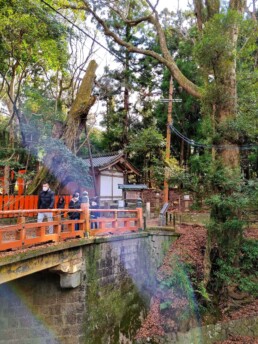 Parque de Nara