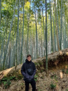 Floresta de Bambu da Cidade Muko