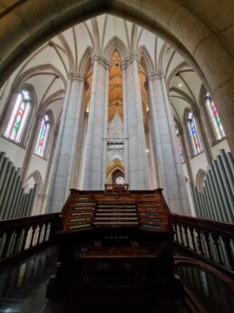 Órgão de tubos- Catedral da Sé - Centro - São Paulo - SP