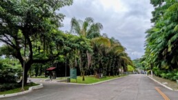 Jardim Botânico de Santos “Chico Mendes” - Santos - SP