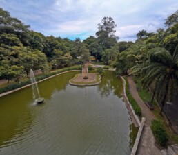 Jardim Botânico de Santos “Chico Mendes” - Santos - SP