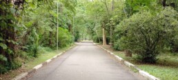 Jardim Botânico de Santos “Chico Mendes” - Santos - SP