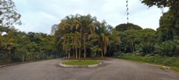 Jardim Botânico de Santos “Chico Mendes” - Santos - SP