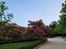 Parque do Retiro - Madrid - Espanha